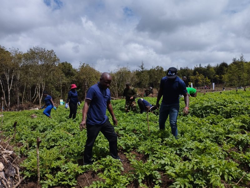 Tree Planting 2023 Kimende